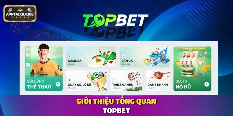 Giới thiệu tổng quan